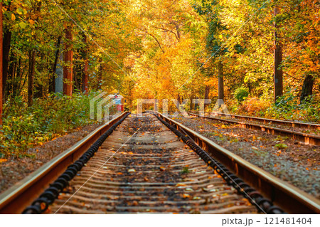 Autumn forest through which an old tram rides (Ukraine) Autumn forest through which an old tram rides (Ukraine) 121481404