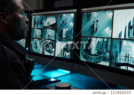 Observing hotel life on computer screen 121482010