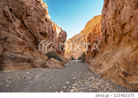 Red rocks of the red canyon in Eilat, israel 121482375