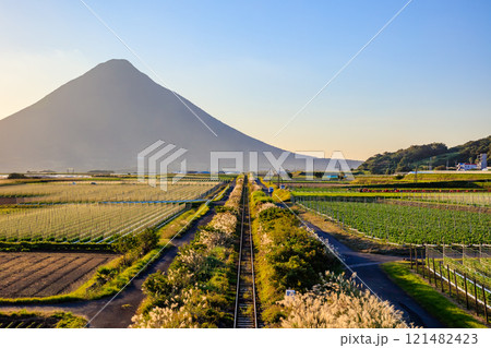秋の開聞岳と指宿枕崎線　夕景　鹿児島県指宿市 121482423