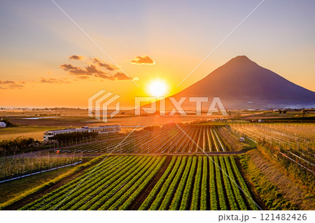 秋の開聞岳と指宿枕崎線を走るキハ47と夕日 鹿児島県指宿市 秋の開聞岳と指宿枕崎線を走るキハ47と夕日 鹿児島県指宿市 121482426