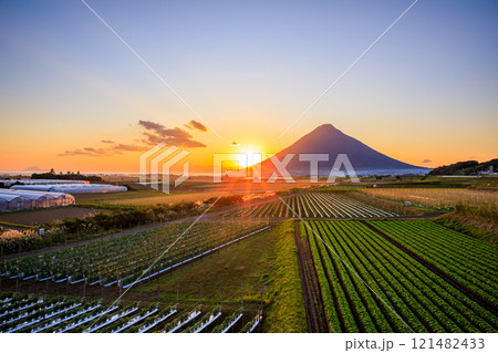 秋の開聞岳と指宿枕崎線と夕日　鹿児島県指宿市 121482433