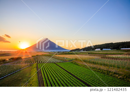 秋の開聞岳と指宿枕崎線と夕日　鹿児島県指宿市 121482435