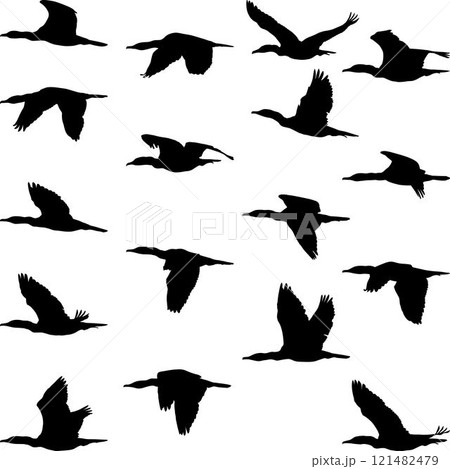 silhouettes of flying cormorants birds 121482479