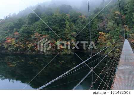 木の根三里橋から紅葉を眺める　（高知県　いの町） 121482508