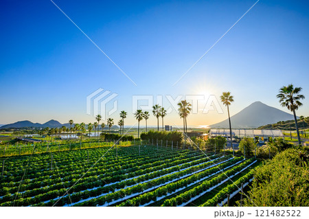 秋の長崎鼻入口展望台から見た景色　鹿児島県指宿市 121482522