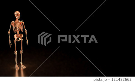The Copper  skeleton on black background for education or sci concept 3d rendering. 121482662