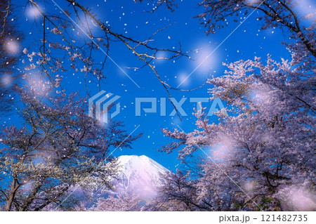 【桜吹雪】忍野村の桜と富士山と桜吹雪【山梨県】 【桜吹雪】忍野村の桜と富士山と桜吹雪【山梨県】 121482735