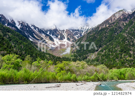 初夏の上高地自然遊歩道　早朝の森林浴ウォーキング　梓川と岳沢 121482974