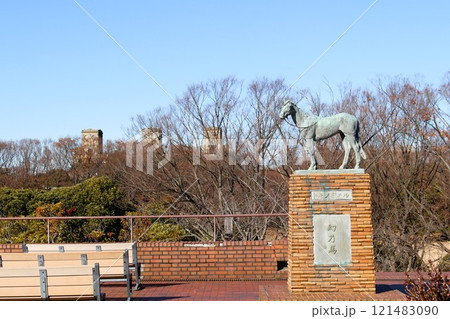 青空の根岸森林公園と馬の博物館 根岸競馬場跡 横浜市 神奈川県 青空の根岸森林公園と馬の博物館 根岸競馬場跡 横浜市 神奈川県 121483090