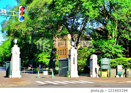 新緑に包まれる北海道大学の正門 121483194