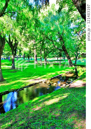 北海道大学キャンパス 中央ローンの風景 121483197