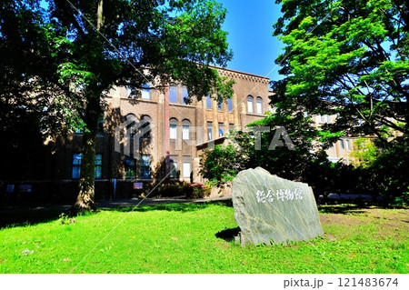 北海道大学総合博物館の景観 121483674