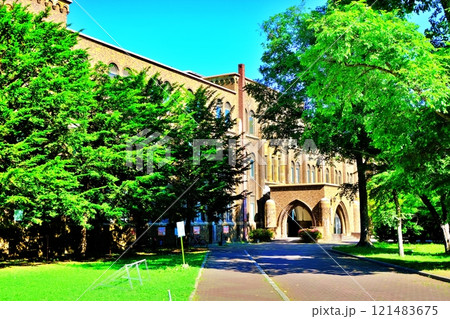 北海道大学総合博物館の景観 121483675