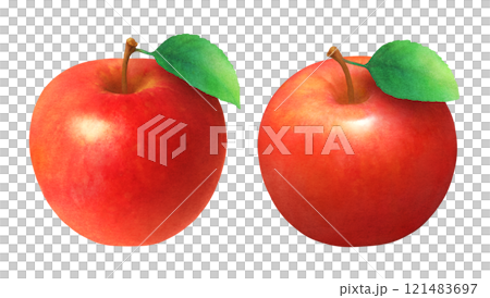 手繪水彩插圖集紅蘋果和葉子_新鮮水果 121483697
