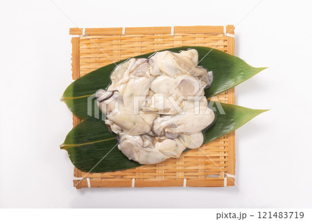 ［宮城県産］生牡蠣　（生食用） 121483719