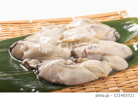 ［宮城県産］生牡蠣　（生食用） 121483721