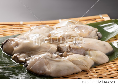 ［宮城県産］生牡蠣　（生食用） 121483724