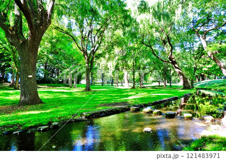 北海道大学キャンパス 中央ローンの風景 121483971