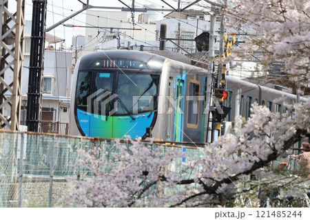 桜並木を走る西武鉄道 121485244