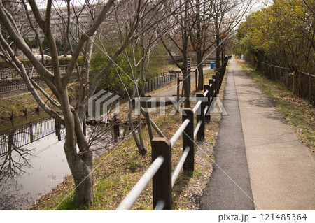 冬の二郷畔領用水路沿いの遊歩道 冬の二郷畔領用水路沿いの遊歩道 121485364