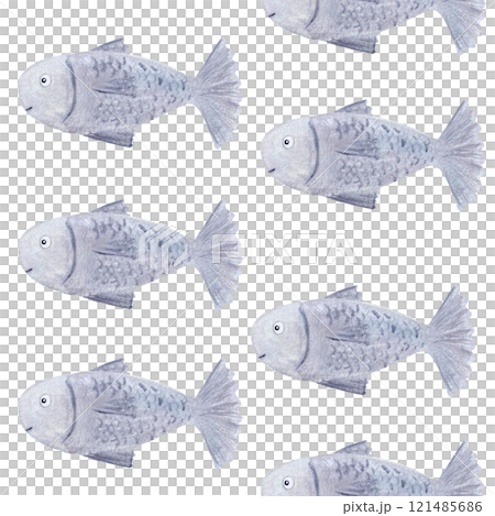 Silver fish seamless pattern isolated on white. High quality hand-drawn watercolor pencil flat illustration for notebooks, wrapping paper, fishing, packaging, cards, tourism, logo and decoration Silver fish seamless pattern isolated on white. High quality hand-drawn watercolor pencil flat illustration for notebooks, wrapping paper, fishing, packaging, cards, tourism, logo and decoration 121485686