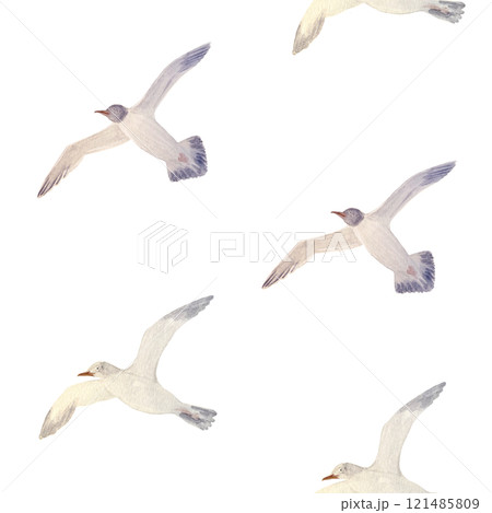 Flying sea gull seamless pattern isolated on white. High quality hand-drawn watercolor flat illustration for notebooks, scrapbooking, wrapping paper, textile, sea voyage souvenirs decor and design Flying sea gull seamless pattern isolated on white. High quality hand-drawn watercolor flat illustration for notebooks, scrapbooking, wrapping paper, textile, sea voyage souvenirs decor and design 121485809