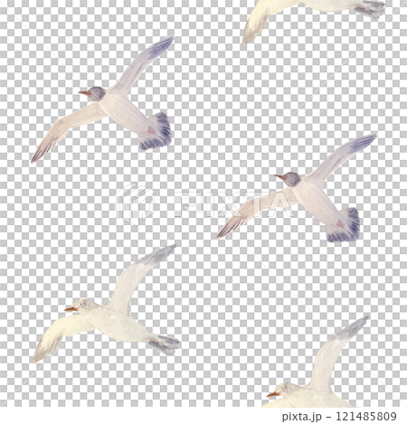 Flying sea gull seamless pattern isolated on white. High quality hand-drawn watercolor flat illustration for notebooks, scrapbooking, wrapping paper, textile, sea voyage souvenirs decor and design 121485809