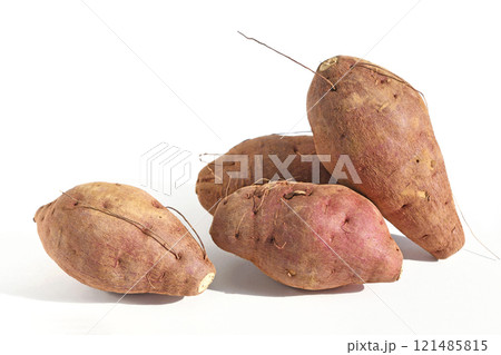 さつまいも（ハロウィンスイート） 121485815