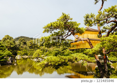 Kinkakuji Temple (The Golden Pavilion) in Kyoto Japan 121485846