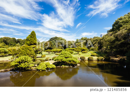 Shinjuku Gyoen National Garden in Tokyo Japan 121485856