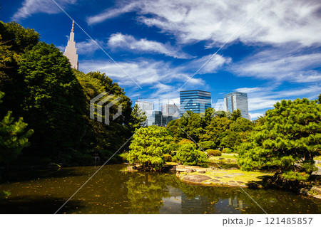Shinjuku Gyoen National Garden in Tokyo Japan 121485857