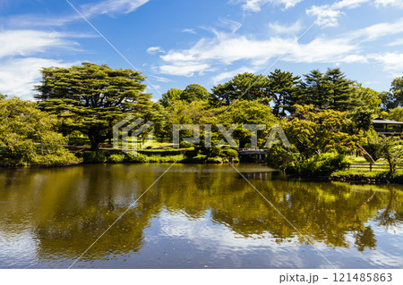 Shinjuku Gyoen National Garden in Tokyo Japan 121485863