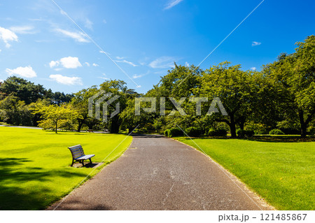 Shinjuku Gyoen National Garden in Tokyo Japan Shinjuku Gyoen National Garden in Tokyo Japan 121485867