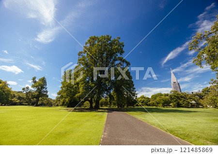 Shinjuku Gyoen National Garden in Tokyo Japan Shinjuku Gyoen National Garden in Tokyo Japan 121485869