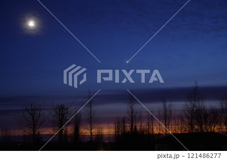 北欧の針葉樹とマジックアワー、そして月 北欧の針葉樹とマジックアワー、そして月 121486277