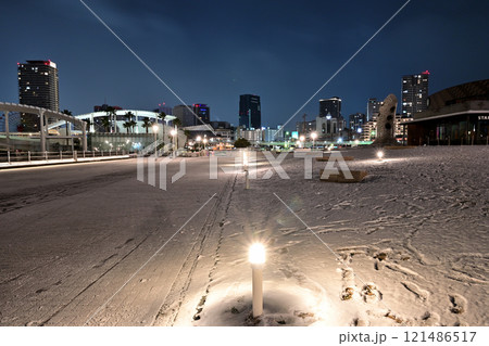2023/01/24 神戸市内での珍しい雪景色 2023/01/24 神戸市内での珍しい雪景色 121486517