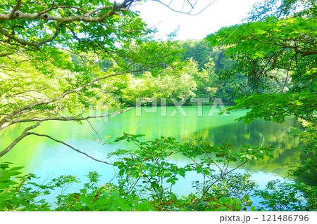 ドッコ沼 蔵王 新緑 ドッコ沼 蔵王 新緑 121486796