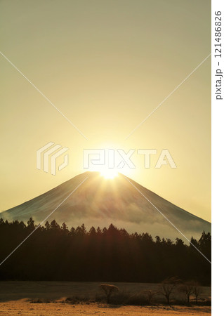 静岡県　朝霧高原からのダイヤモンド富士 121486826