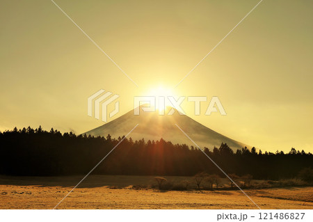 静岡県　朝霧高原からのダイヤモンド富士 121486827