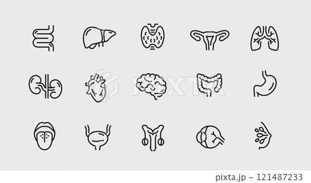 Human Organs Icons Set Human Organs Icons Set 121487233