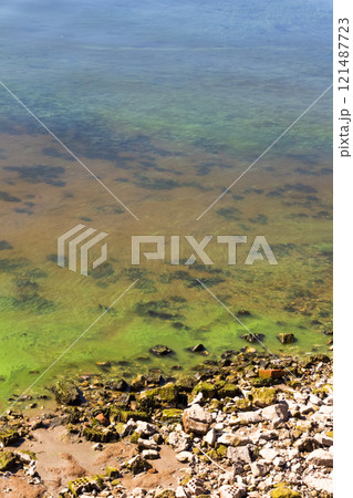 Green dirty water 121487723