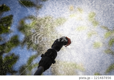 Sprinkling of trees 121487856