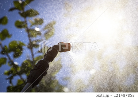 Sprinkling of trees Sprinkling of trees 121487858