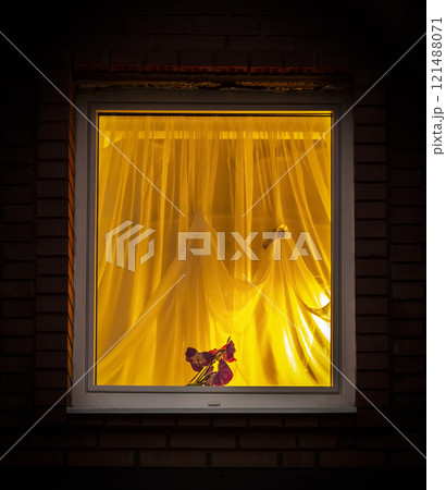 Light from the window 121488071
