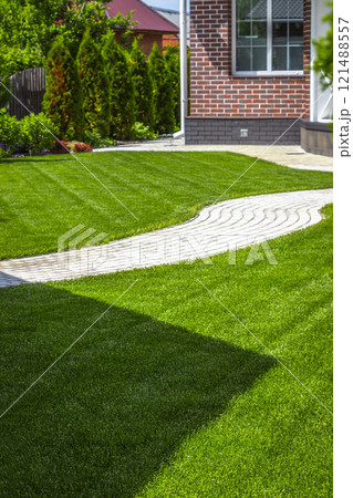 Beautiful lawn in the backyard 121488557