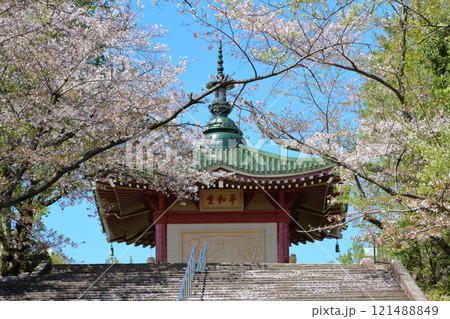 名古屋市 平和公園 桜 名古屋市 平和公園 桜 121488849