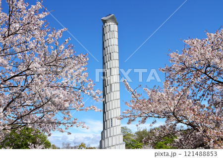 名古屋市　平和公園　桜 121488853