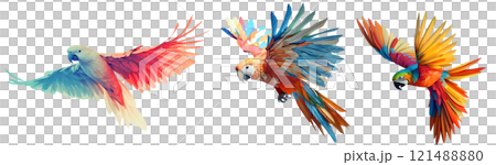 Colorful parrots in flight with vibrant feathers Colorful parrots in flight with vibrant feathers 121488880