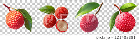 Fresh lychee fruits with leaves on transparency background Fresh lychee fruits with leaves on transparency background 121488881